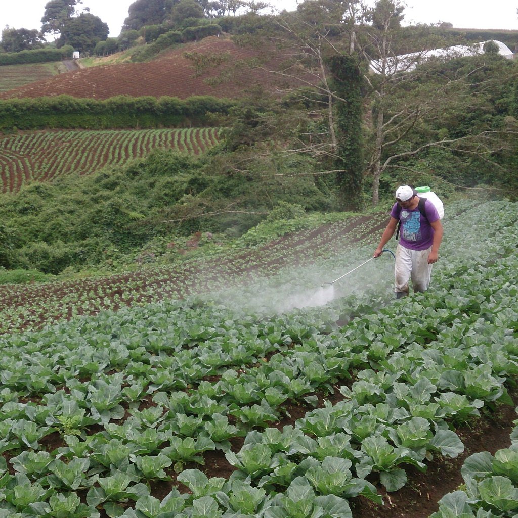 The picture shows how farm workers apply pesticides on a vegetable farm in Costa Rica. The spray drift is clearly visible, distributing the pesticides in the surroundings. Without protection, the workers’ skin and airways are directly exposed to the chemicals.